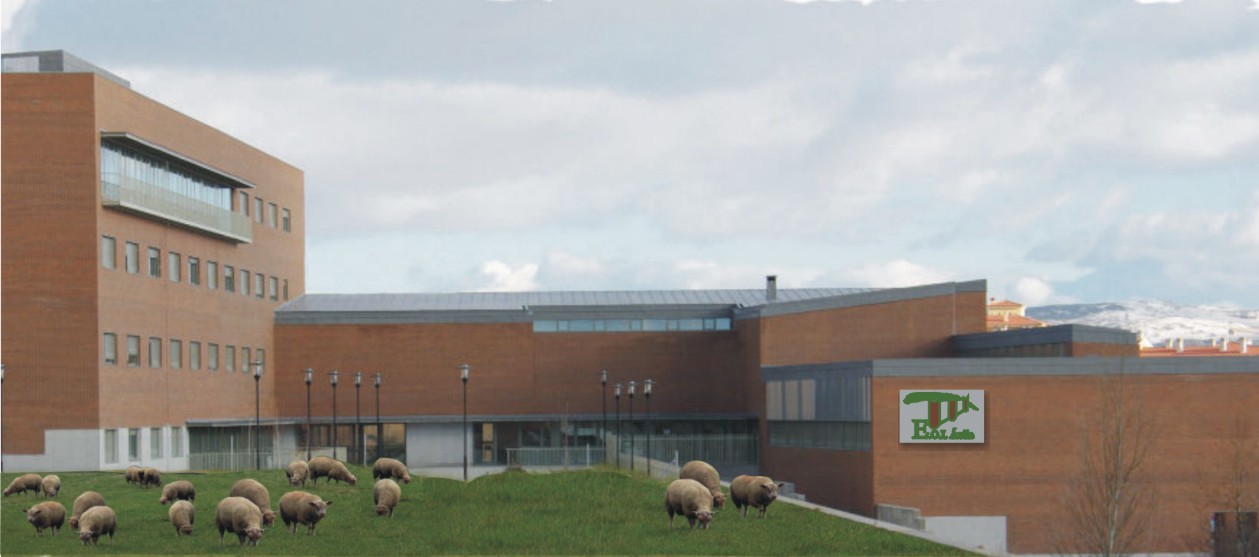 with sheep and logo on wall